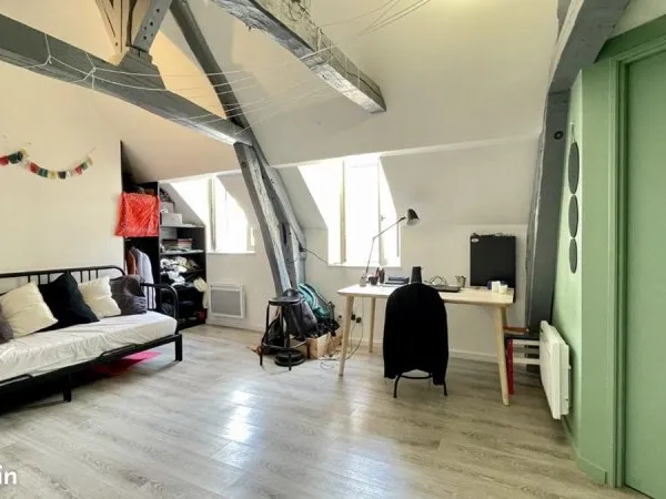 Dijon coeur de ville - t1 bis - chambre separée - calme & lumineux