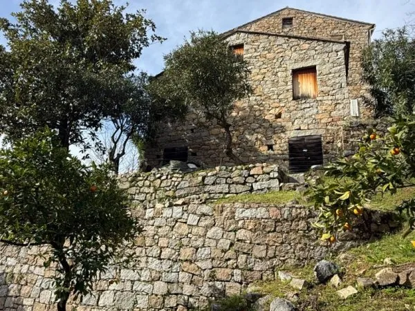 Maison en pierre a renover - Terrain vue montagne - Sarrola