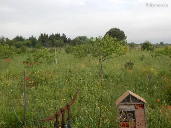 Verger jardin