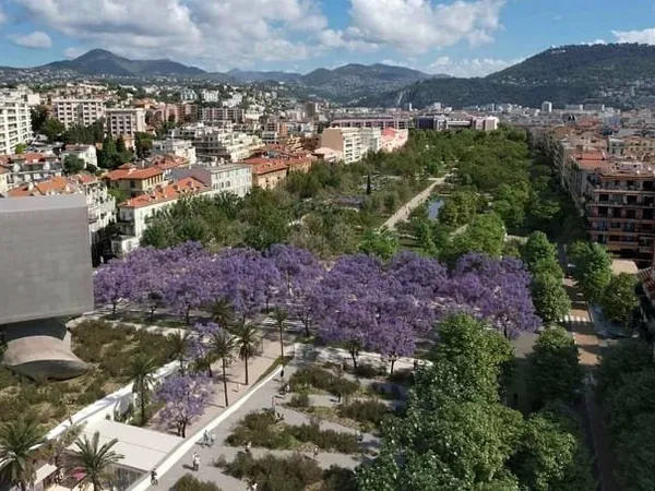 NICE - COULÉE VERTE - IMMEUBLE RÉNOVÉ - VENTE LOT PAR LOT