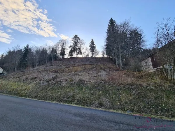 Terrain d'excéption constructible sur le lac