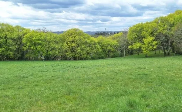 Terrain à bâtir de 0 pièces principales