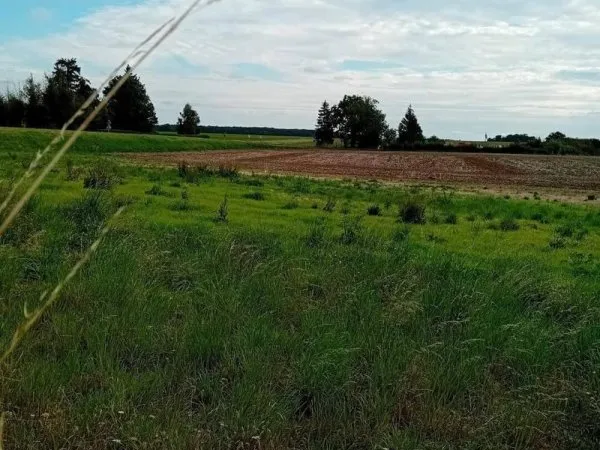 Terrain constructible 1001 m²