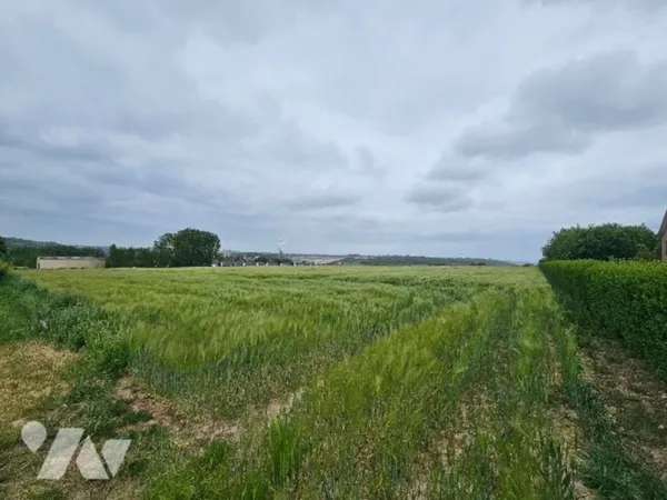Parcelle de terrain pour un lotisseur ou promoteur.