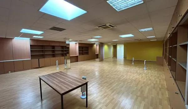 Local professionnel 1 pièce 220 m²