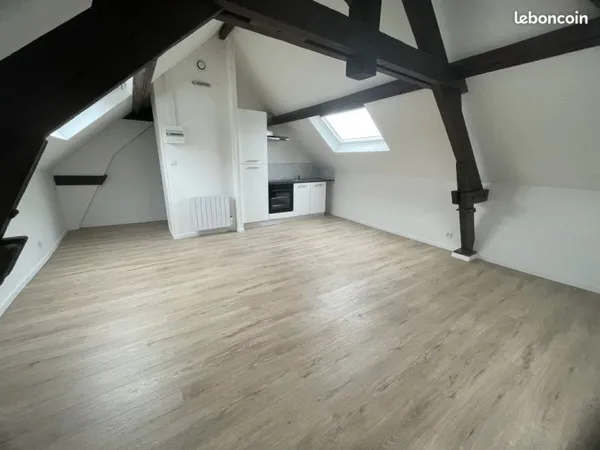 Studio 1 pièce 20 m²
