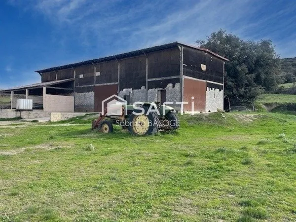 Terrain agricole