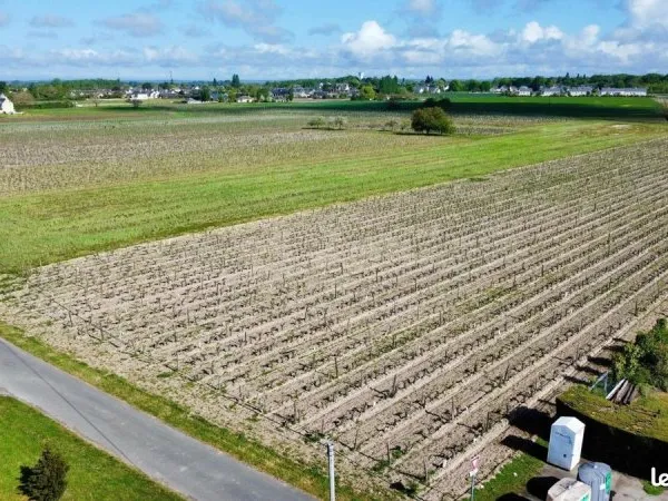 Terrain 33000 m² SAVIGNY-EN-VERON