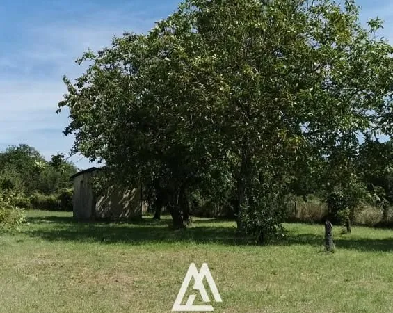 Terrain 1 800 m² Souzay