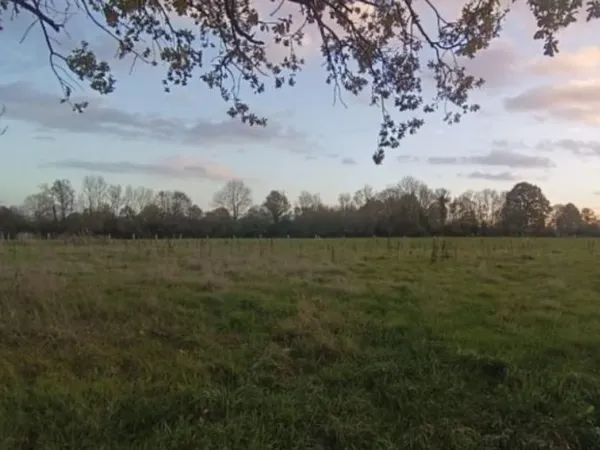 Terrain 900 m²