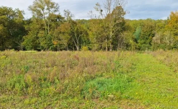 Terrain 995 m²