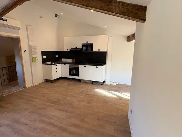 Appartement T2 terrasse centre ville