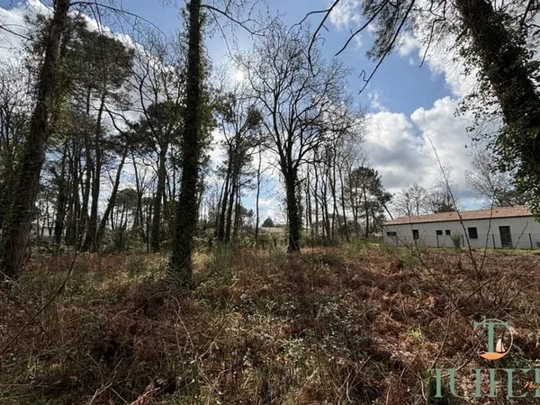 A vendre- Terrain à batir aux portes de Ronce-Les-Bains