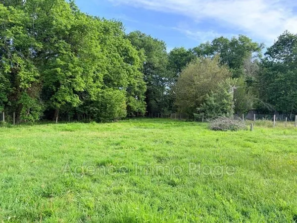 Terrain 1901 m²