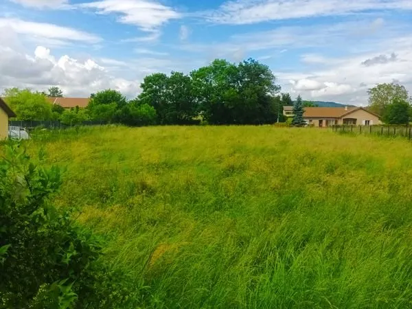 Terrain à bâtir 950 m² viabilisé - Le Mottier - 72 850
