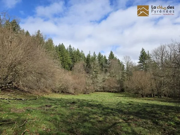 Terrain 23704 m²