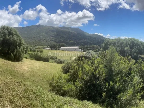 Terrain 988 m²