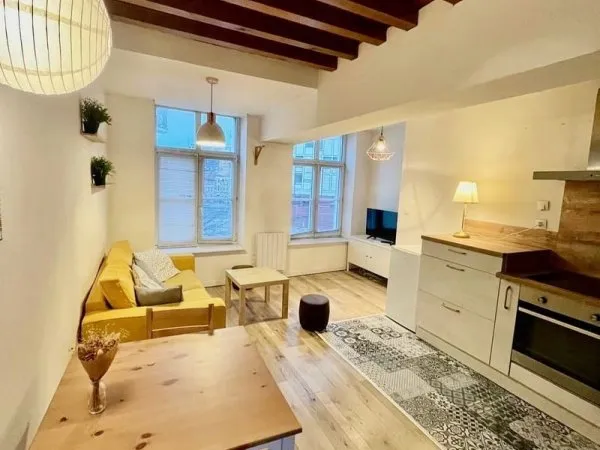 Vieux Lille : Appartement 42 m² au sol