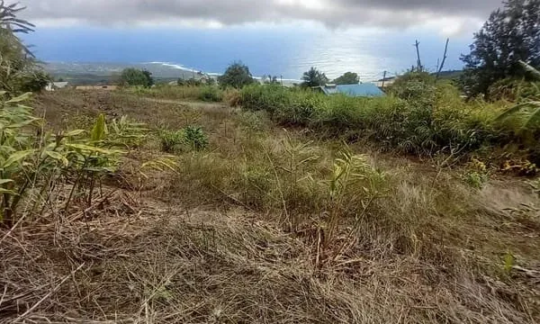 À vendre : Terrain La Chaloupe Saint-Leu - Vue panoramique s