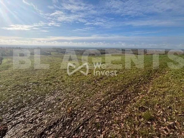 Terrain 6080 m²