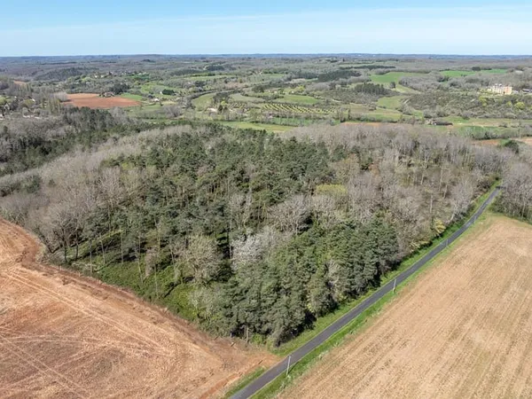 Terrain boisé à vendre - 7,7920 hectares en zone naturelle