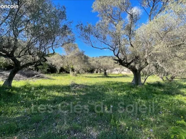 Terrain 5900 m² Toulon