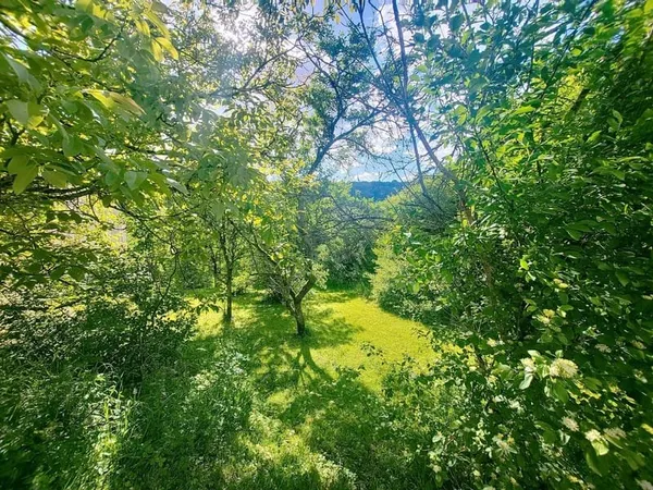 À VENDRE : Terrain constructible de 460m² à Maron✨