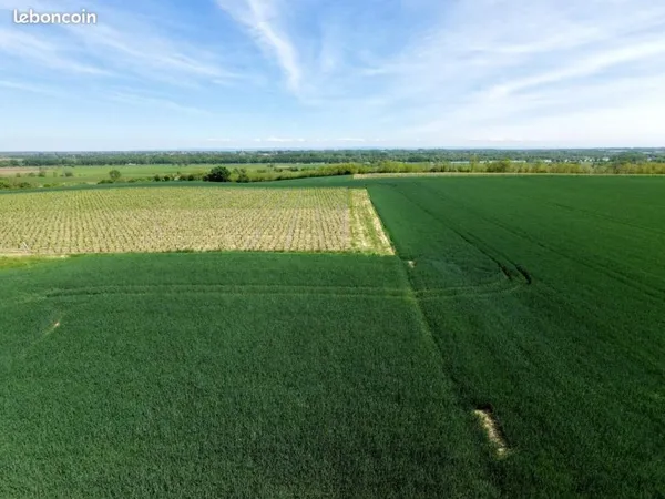 Terrain 2 036 m² Saint Albain