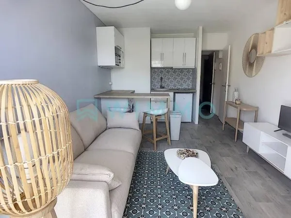 Appartement 1 pièce 20 m²