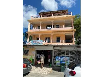 Immeuble 500 m2 BELLEFONTAINE