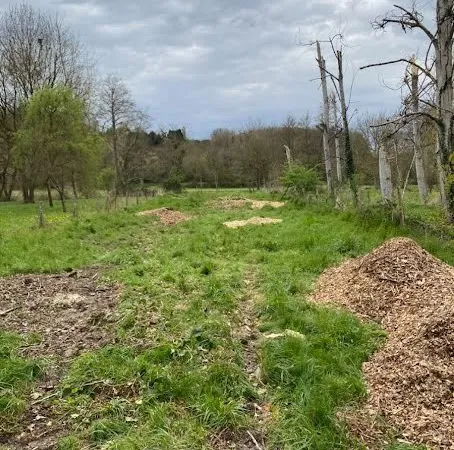 Terrain 667 m²