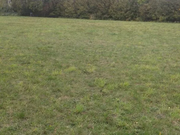 Terrain industriel 2000 m2