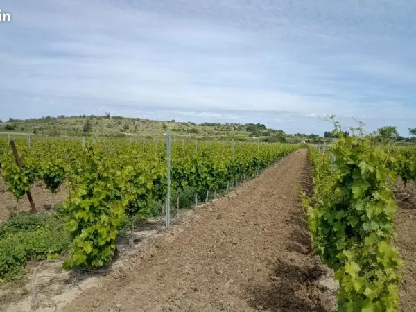 Bien agricole et foncier Vente Tourbes  30000m² 32000€