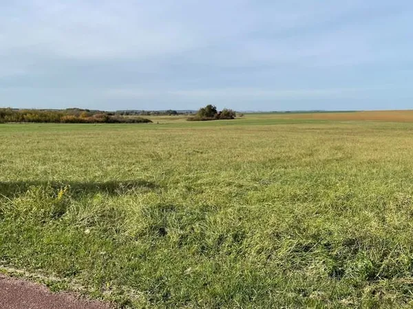Terrain 1307 m²