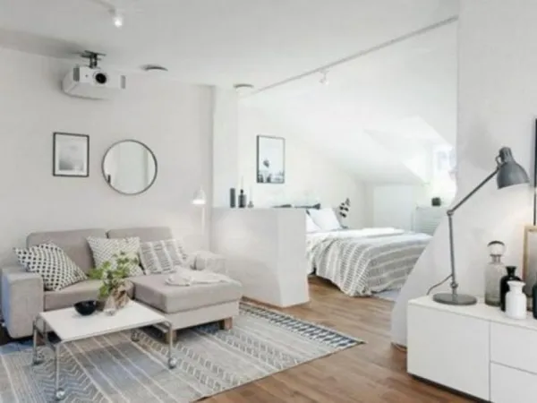 Appartement 1 pièce 25 m²
