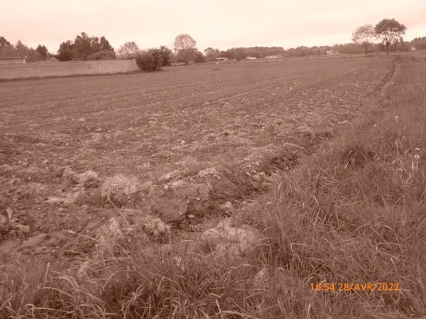 terrain constructible