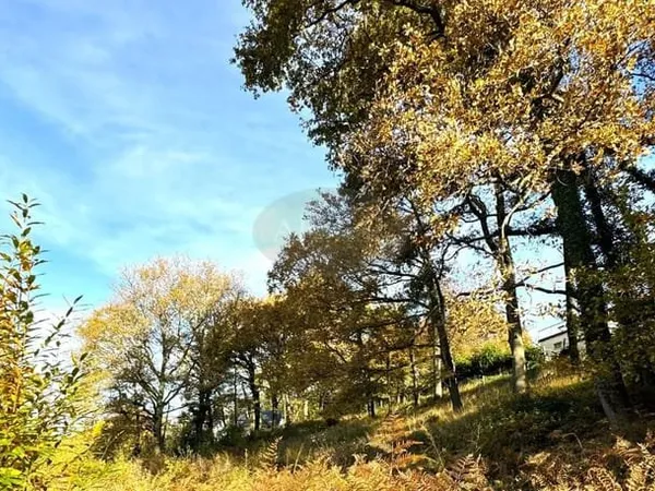 Terrain proche Tarbes Vue