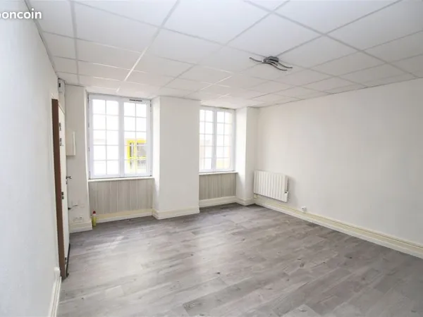 +++ Petit studio Huningue 28 m² - 520 +++