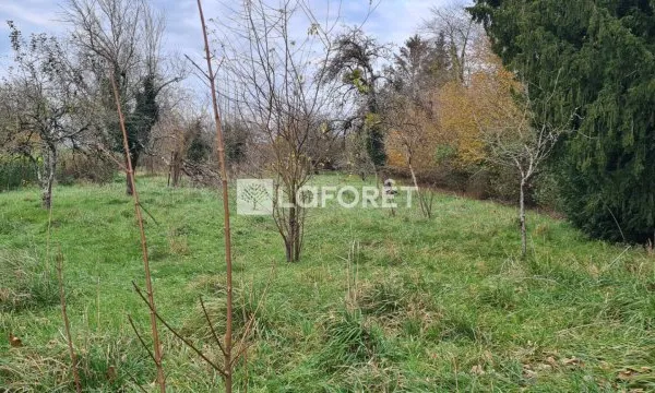 Terrain 1494 m²
