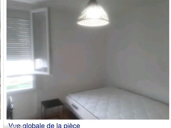 Colocation Cartoucherie Urgent
