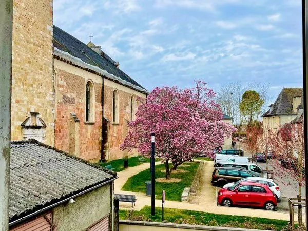 T3 avec vue sur la Cathédrale - Lescar