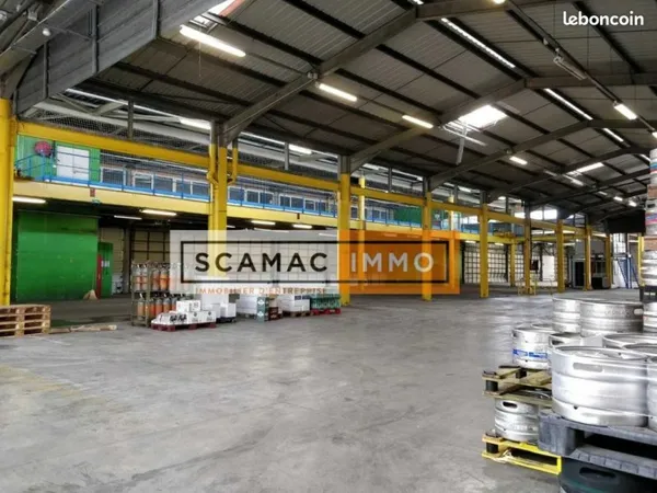 Local industriel 9 500 m²