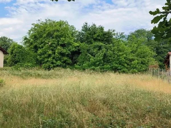 Terrain 2239 m²