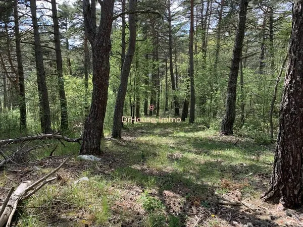 TERRAIN DE LOISIRS PLAT NON CONSTRUCTIBLE