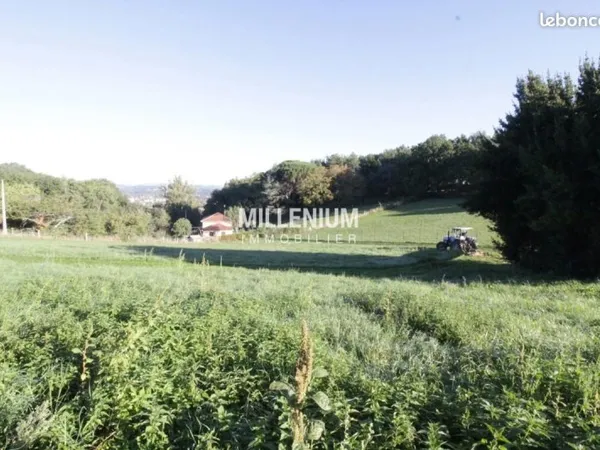Terrain 1 782 m² Graulhet
