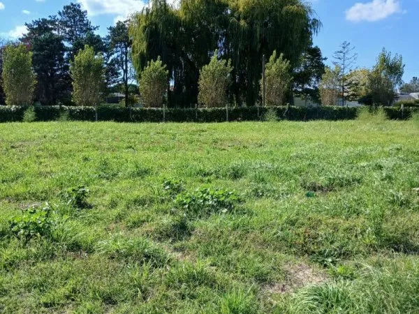 Terrain Saint Jean De Monts 538m2