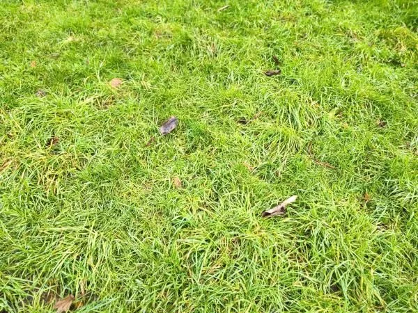 Terrain 500 m² Derval
