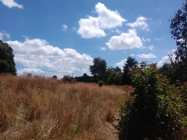 Terrain agricole en Brocéliande