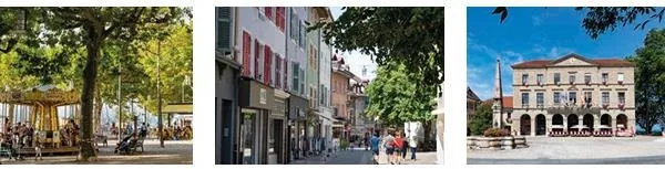 Achat : Appartement (74200)