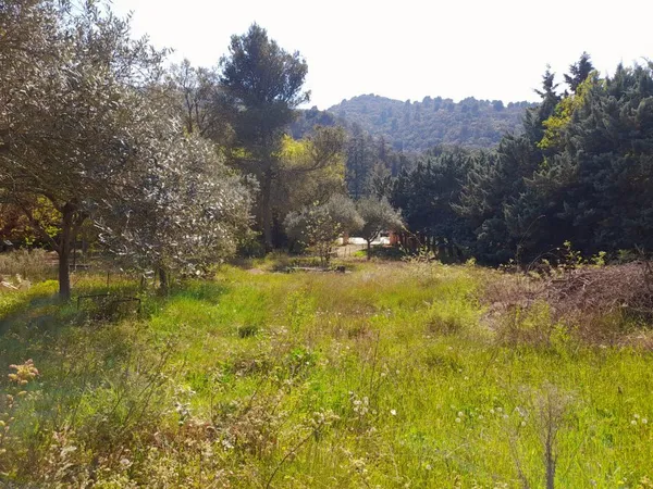 Terrain en individuel 629 m²